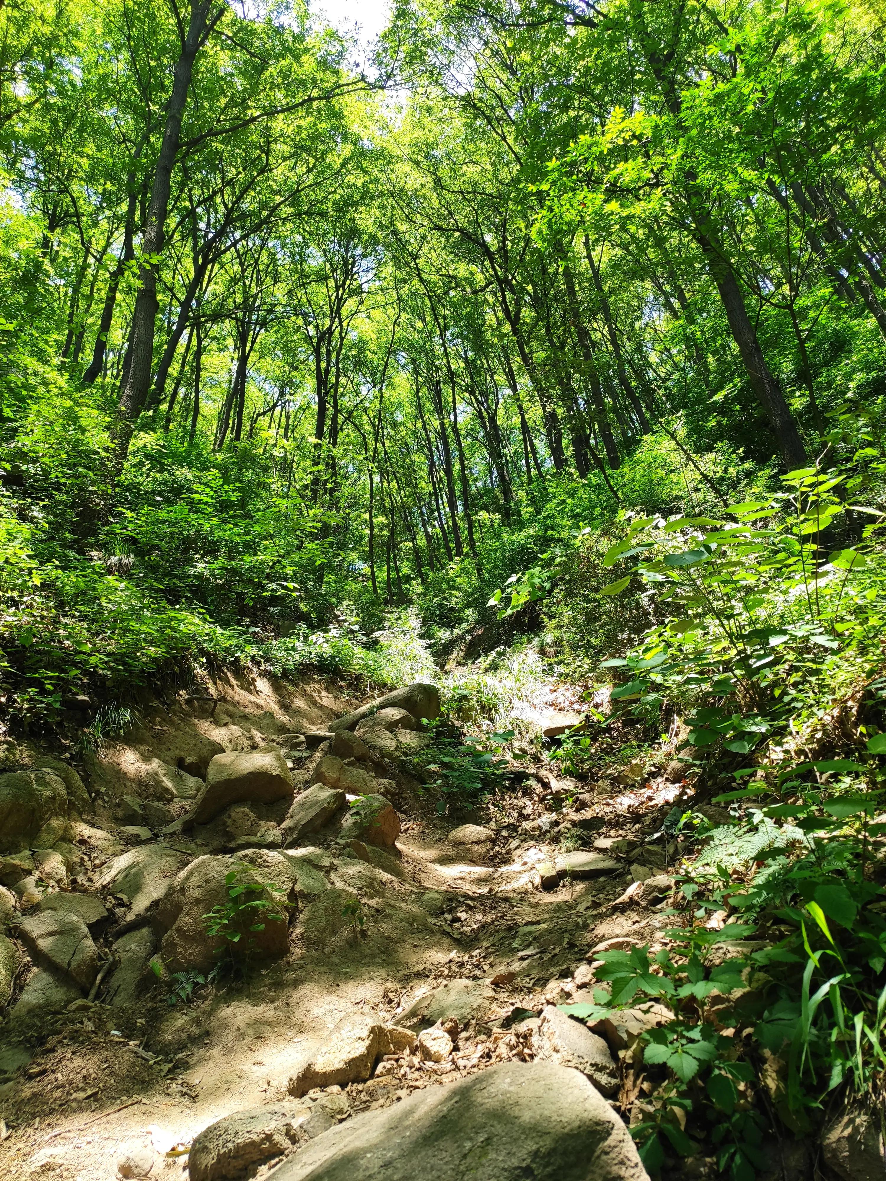 律宗祖庭·禅意浓浓——意想不到的收获