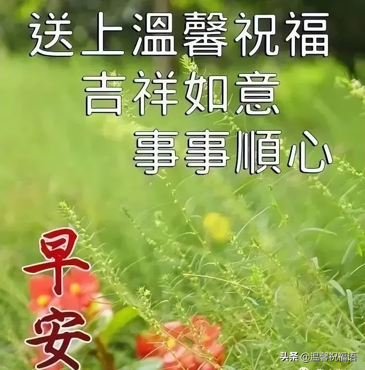 有創意的友情早上好圖片帶祝福語 溫馨的大家早上好問候語圖片精選