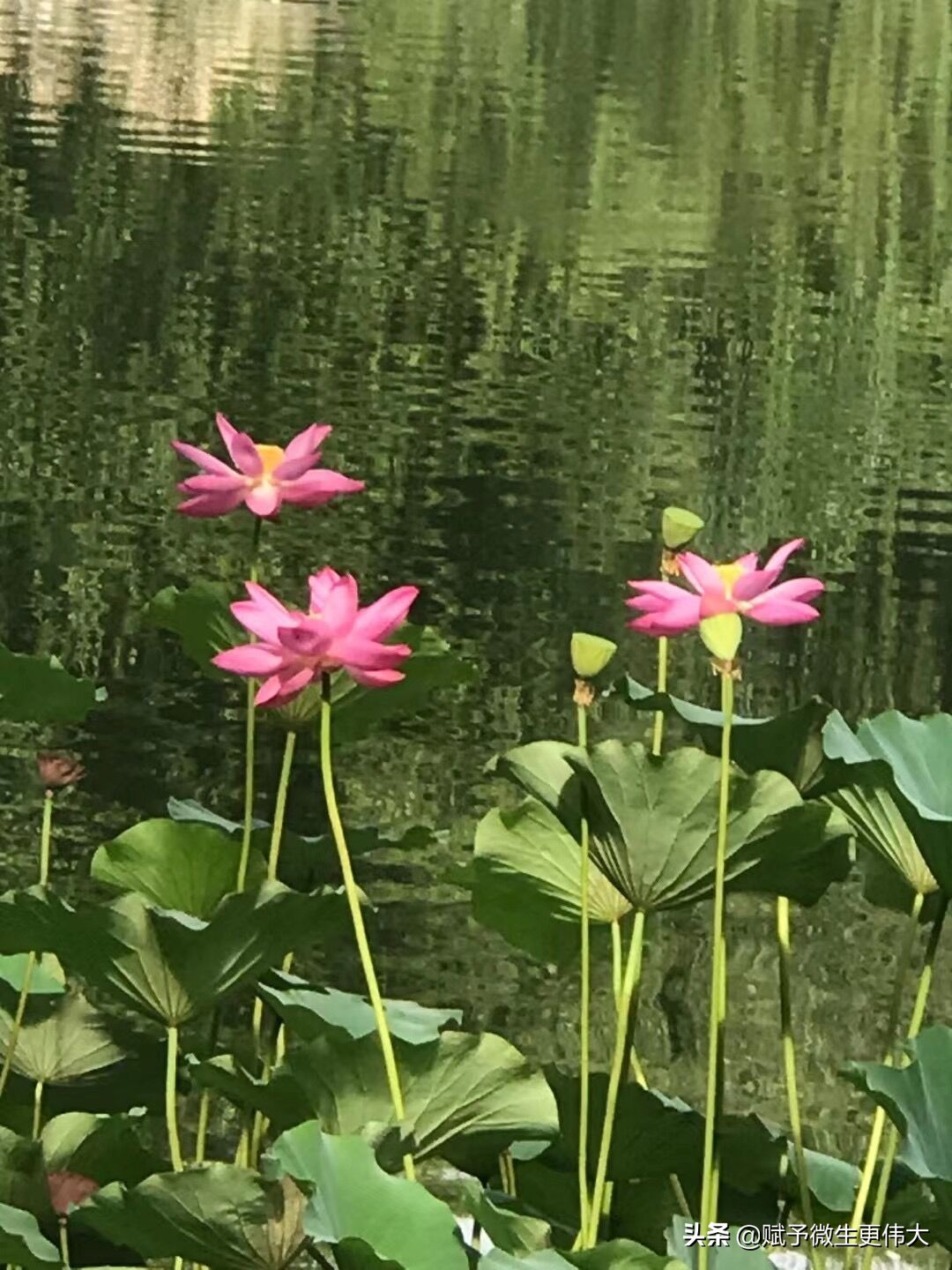 九时许——秋高气爽举高义