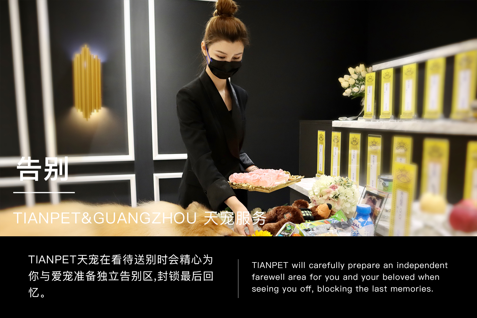 成都宠物火化，宠物殡葬，TIANPET天宠 30万宠物主安心选择