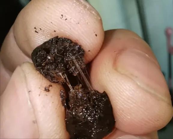 茶食日记 ▏“茶化石”是什么？碎银子和老茶头是一回事吗？