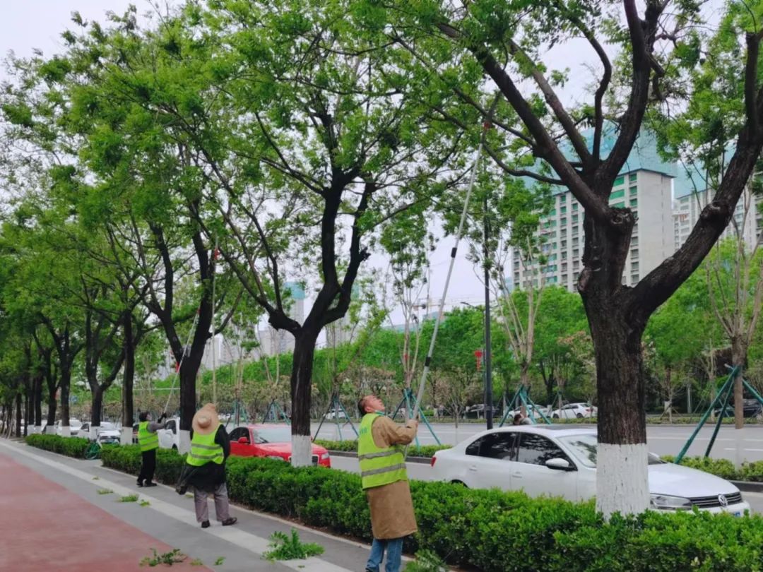 Ĩѿ��ժ�� ��������̻���ľ���塰������