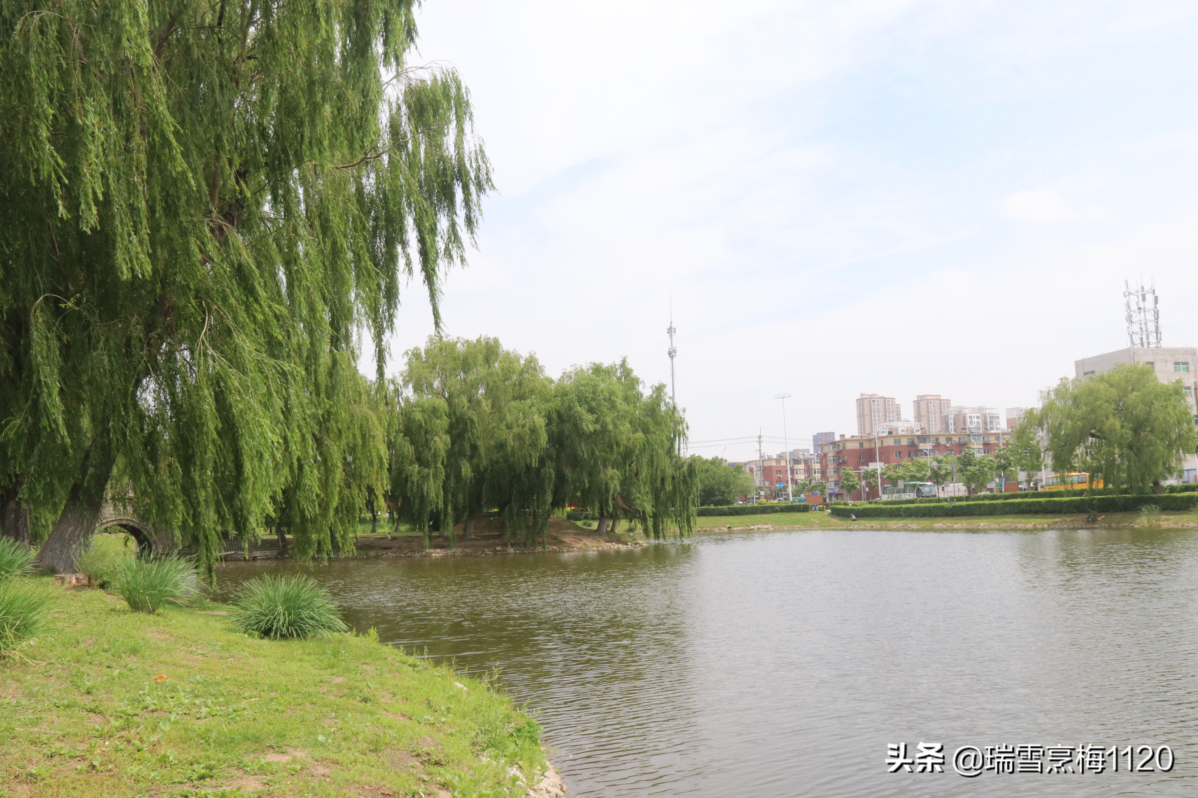 地名档案 | 沈北新区虎石台街道：宁王伏虎之地