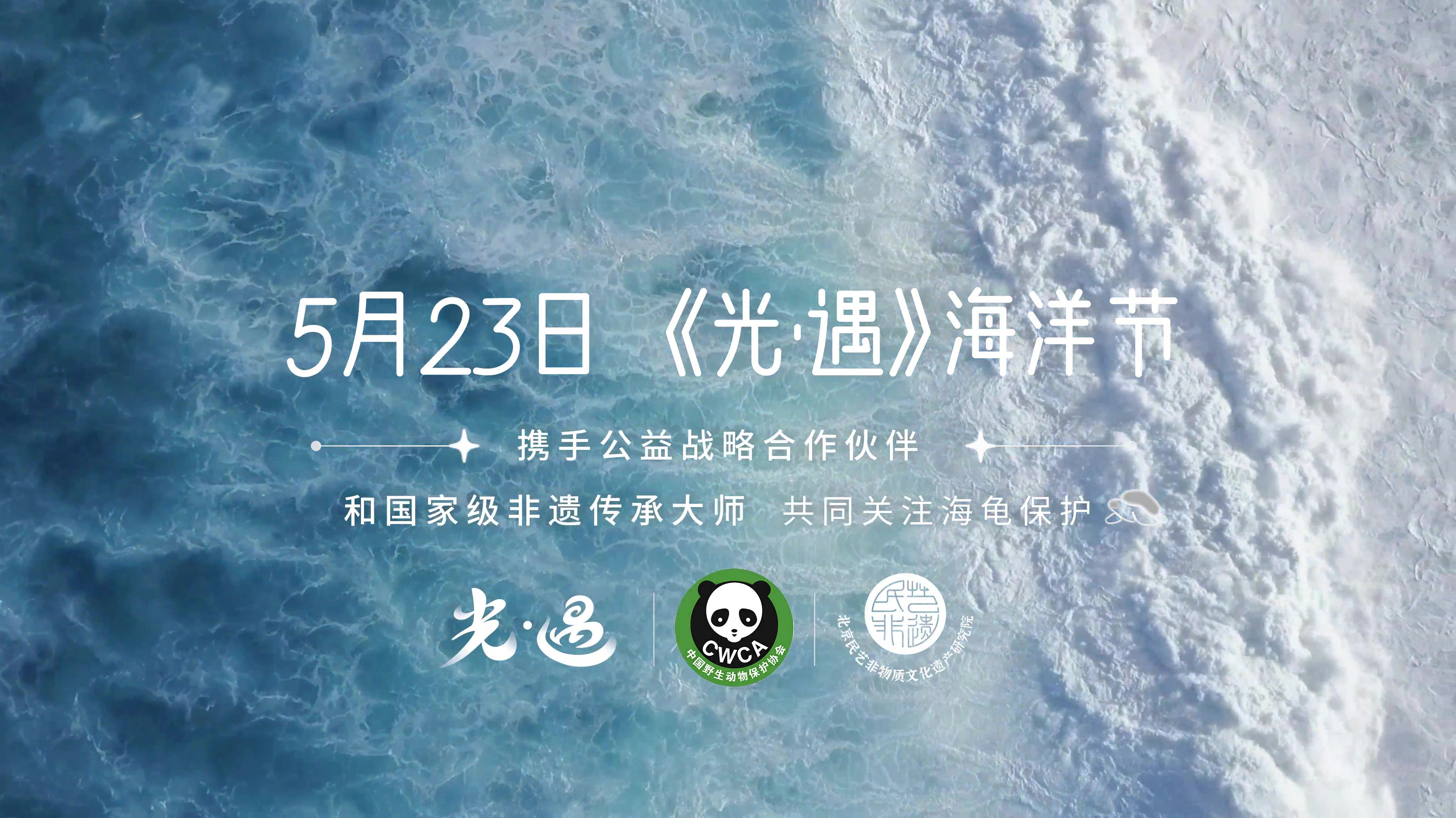 聚焦海龟公益 珍藏美好相遇｜《光·遇》520发布