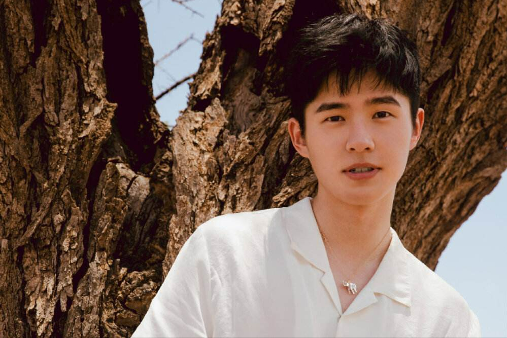 易烊千玺等，这些明星竟然都有编制