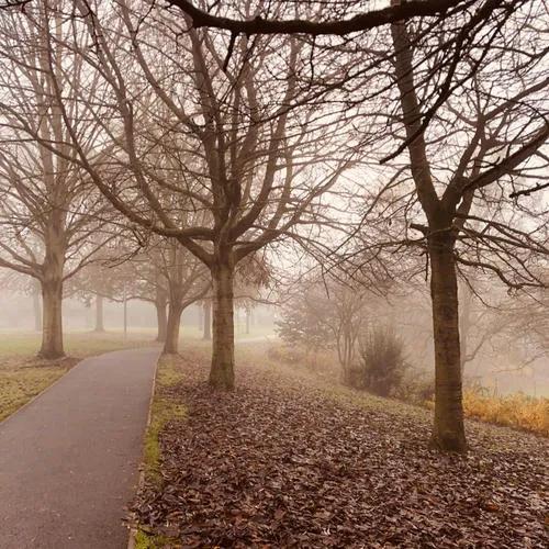 在学校的时候，当你回头看他，他是不是也在看你？