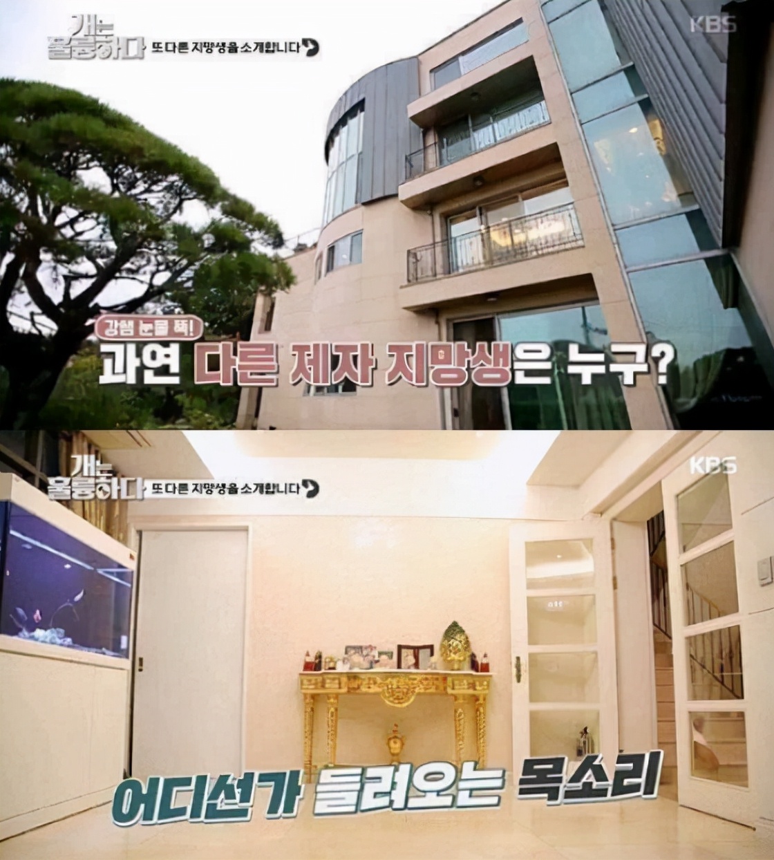 李侑菲：统一亚洲男人审美，父亲是韩国的富商，妹妹男友是李昇基