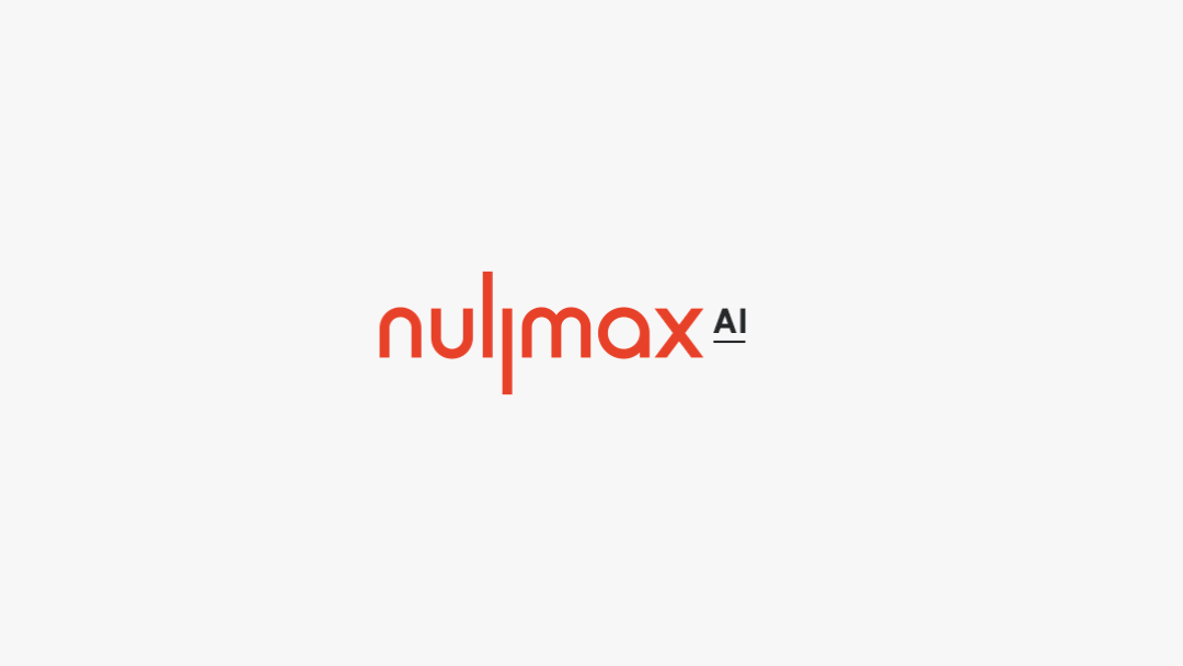 智变未来——Nullmax品牌全案策划设计