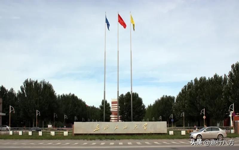 东北石油大学继续教育学院（东北石油大学）