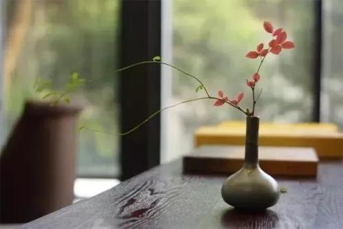 因为。爱过。所以慈悲