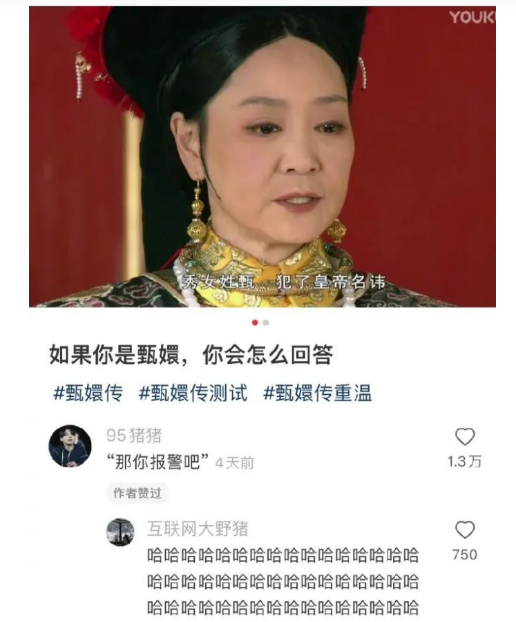 为什么甄嬛传过了十年还这么好笑？看完笑得皮都展开了