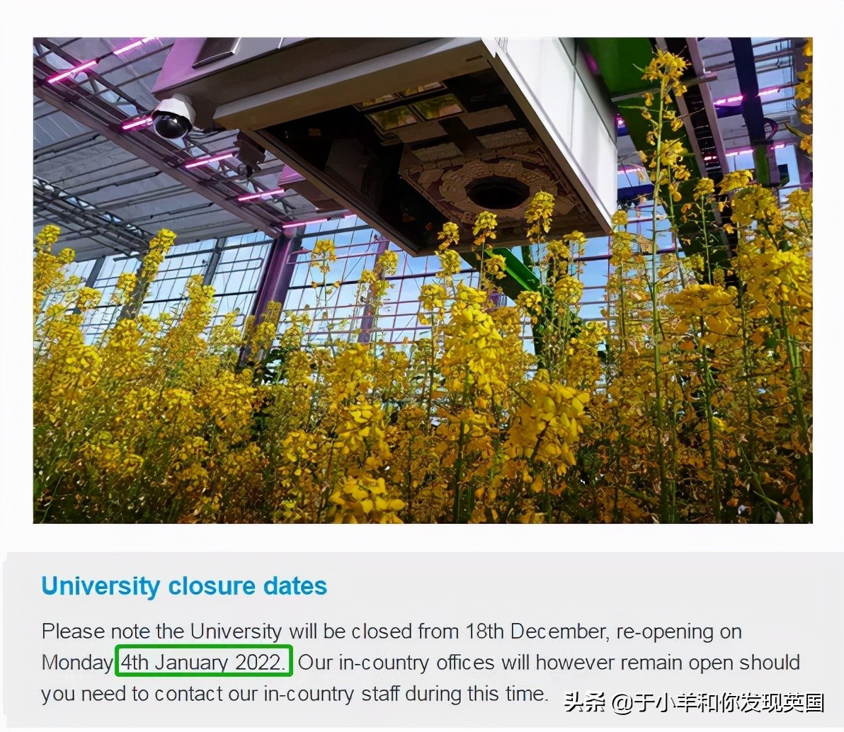 最新！英国热门院校圣诞假期、第二学期开学计划汇总