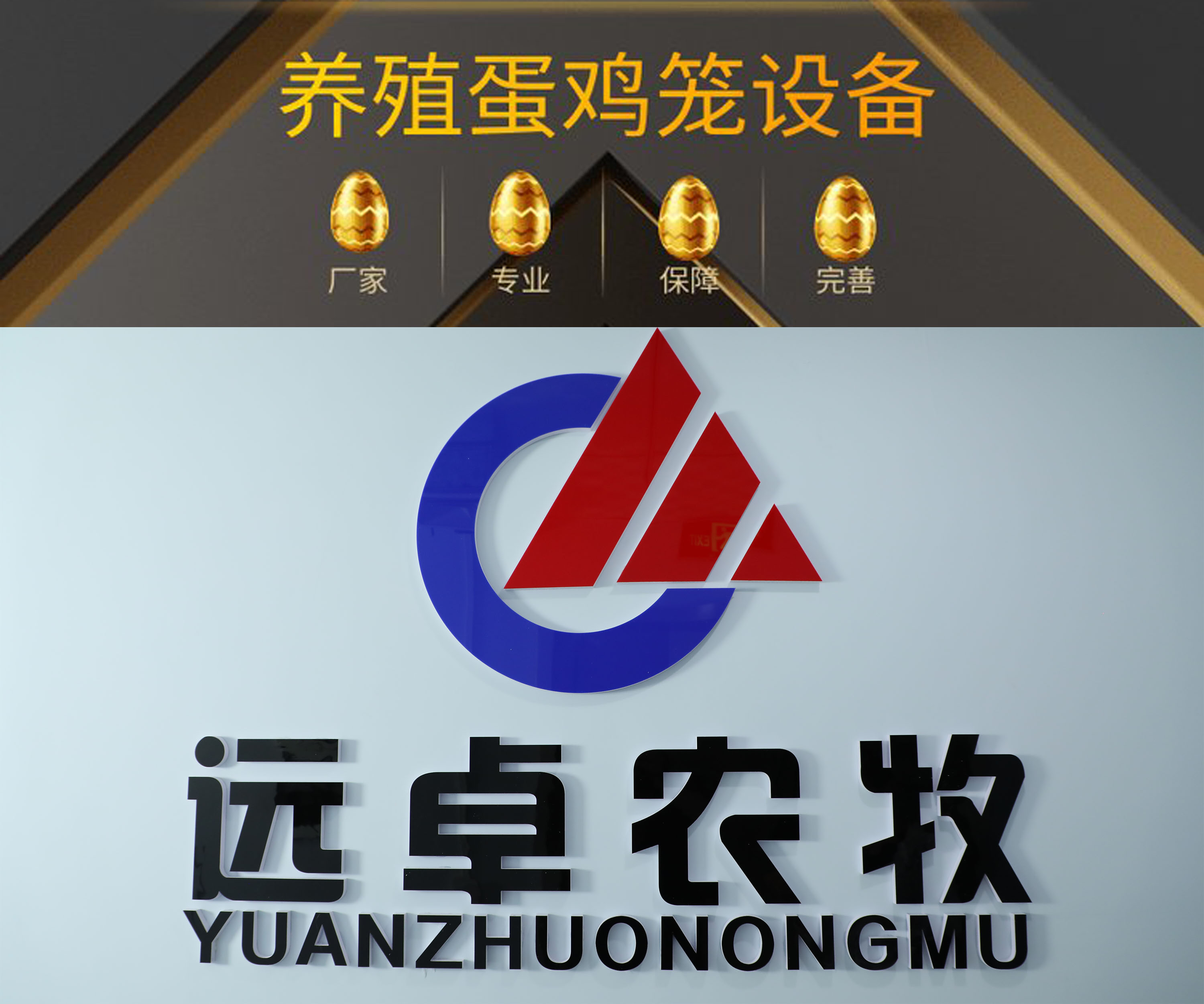 蛋雞養(yǎng)殖決不能省掉的，不然吃大虧！鄭州遠卓農(nóng)牧