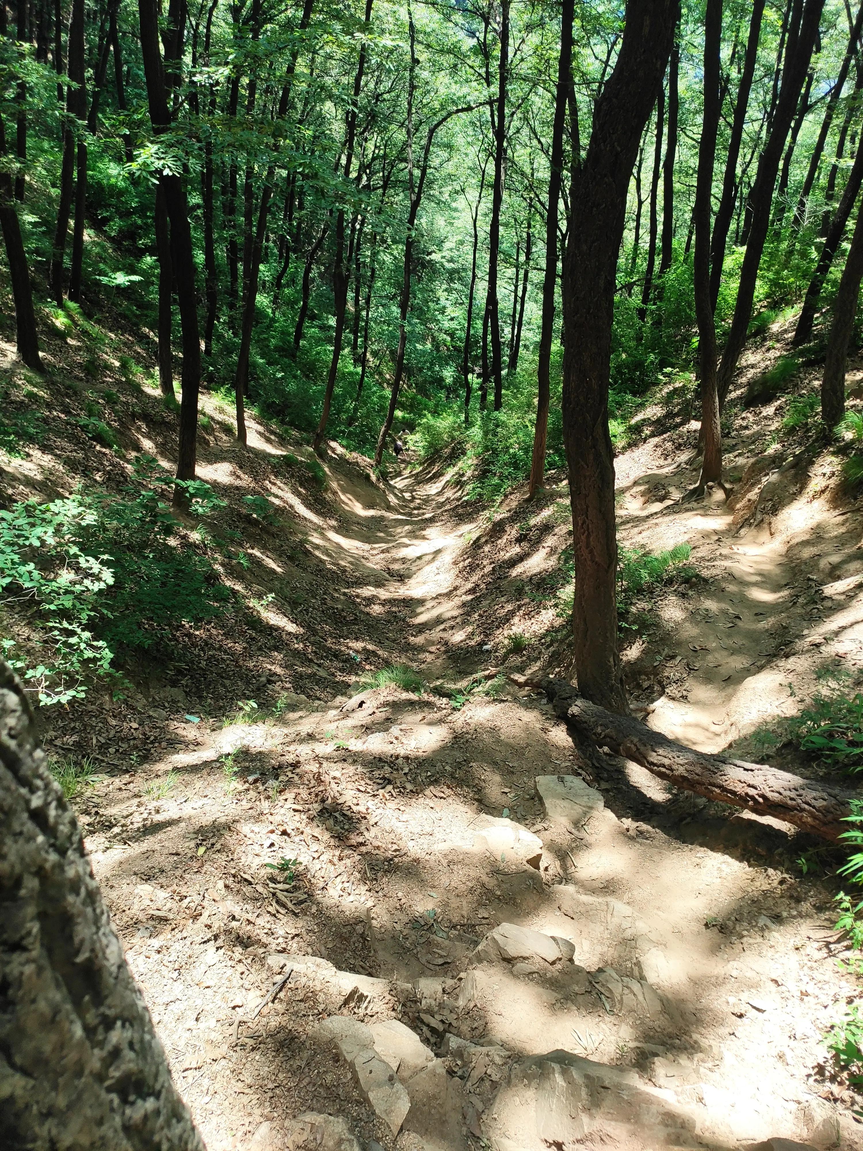 律宗祖庭·禅意浓浓——意想不到的收获