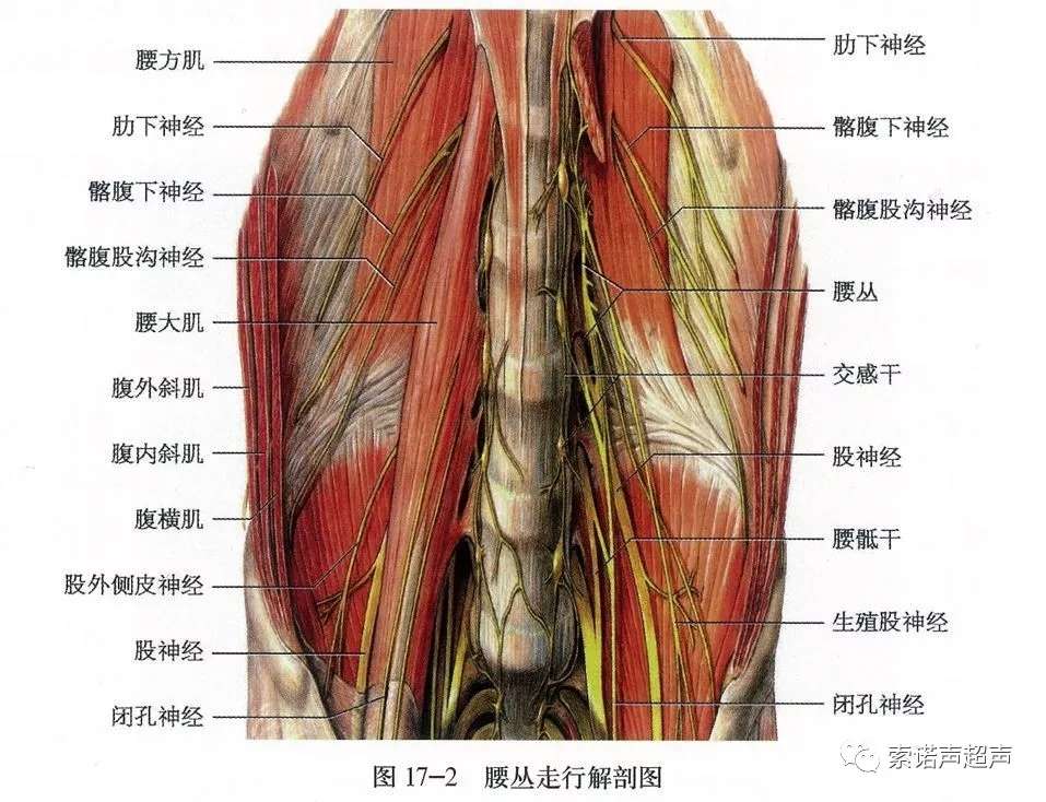 西安市红会医院手术麻醉二科新技术助力髋部骨折患者快速康复