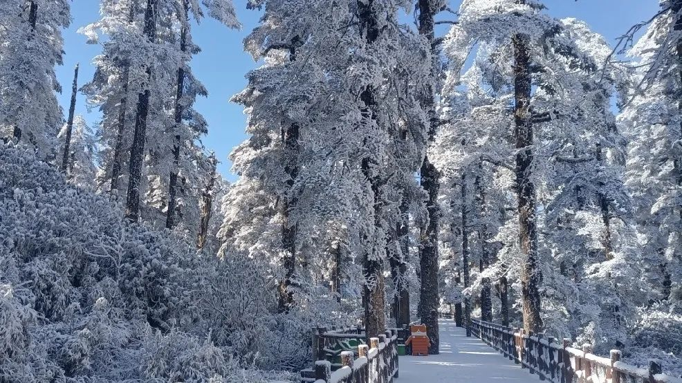 中国最会“泡”的城市在哪里？