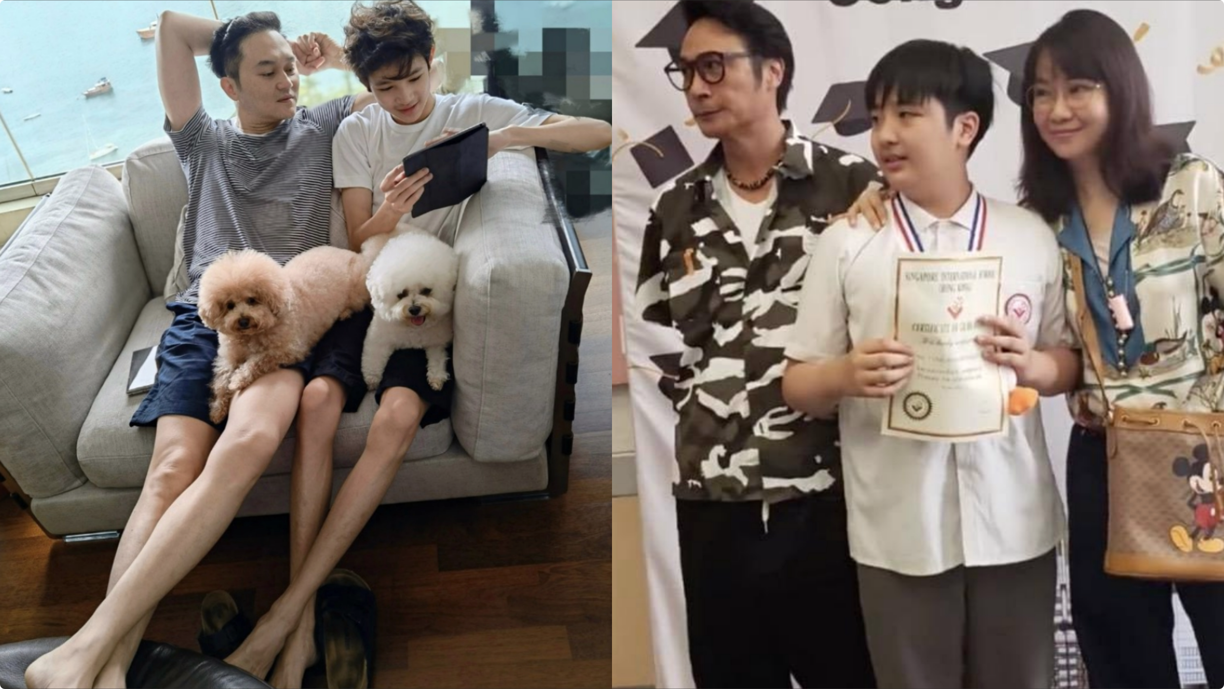 张智霖儿子晒撸猫日常，魔童眼神温柔颜值高，费曼留言梦幻联动