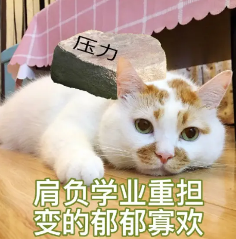 都是“挂科”，大一挂和大三挂有什么不同？两者区别不是一星半点