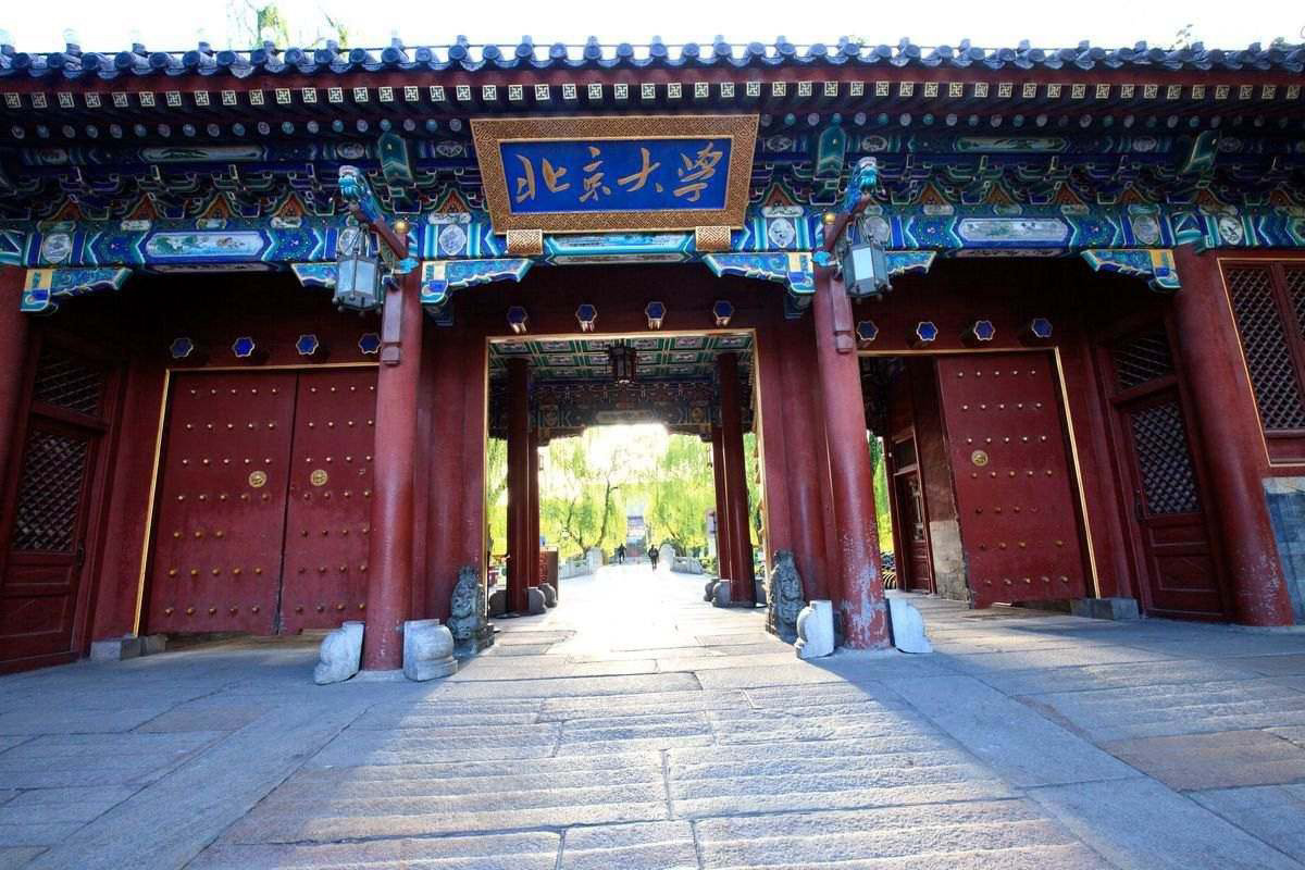 高考热门专业填报指南