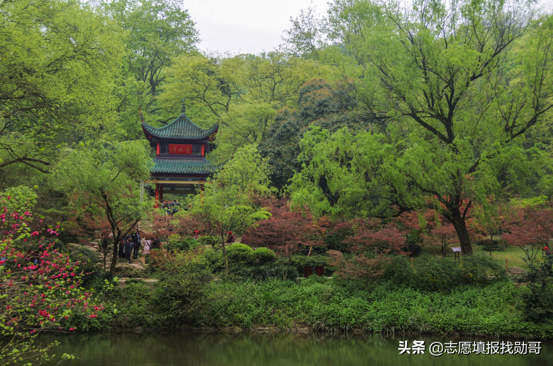 高考报志愿，哪些专业就业前景好？