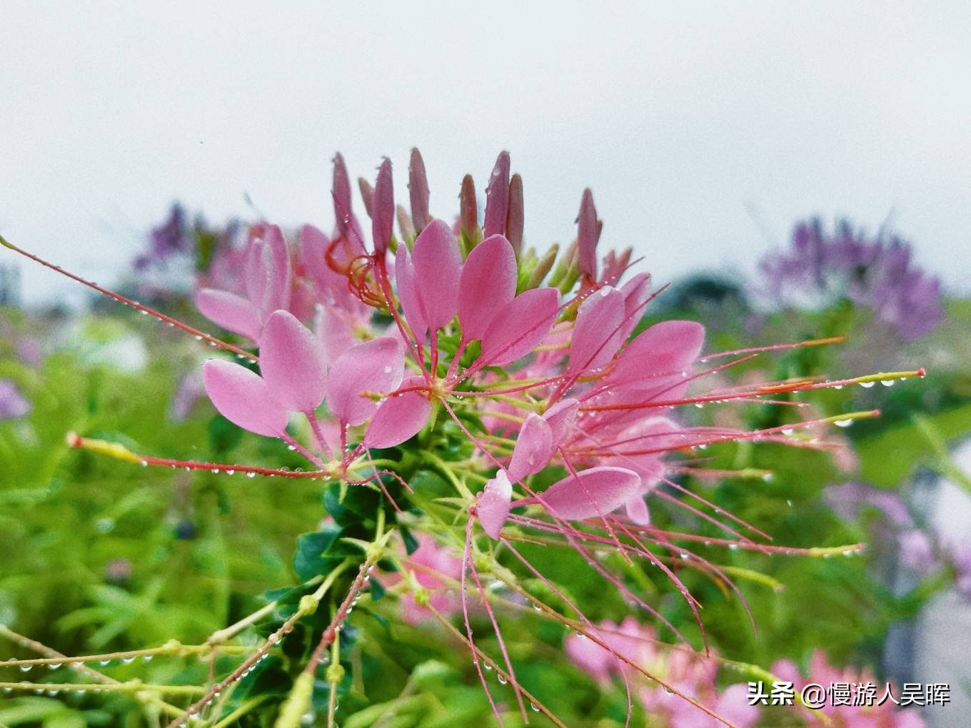 我和海南的约惠丨海南环岛西线自驾，小众体验，风光美食无限好