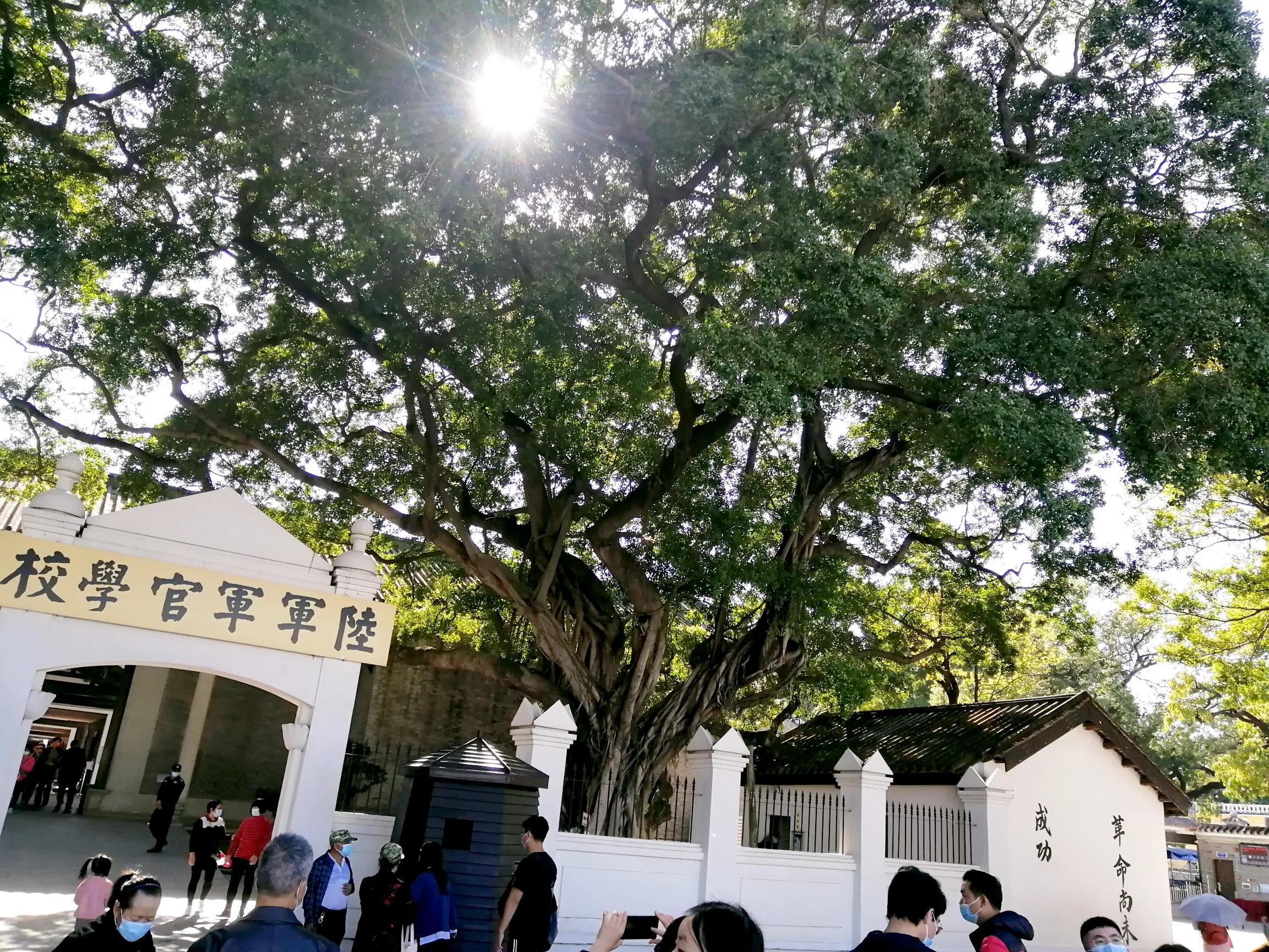 地铁4号线大学城周边游玩攻略，领悟独一无二的长洲岛景象（D篇）