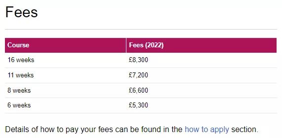雅思还没上岸，offer面临失效？语言班来拯救你！可以上网课