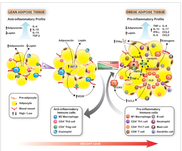 乳腺癌发病率是全球第一，研究发现：容易患乳腺癌的人，都有共性