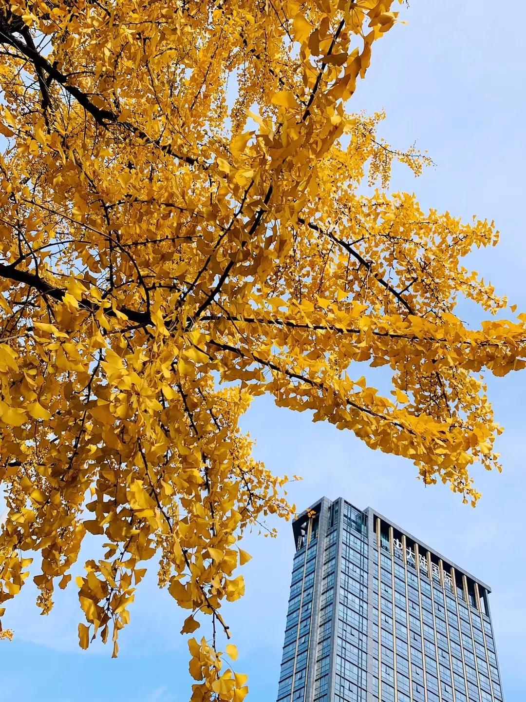 长大后才发现难忘的事不一定是快乐的，很可能充满了无奈