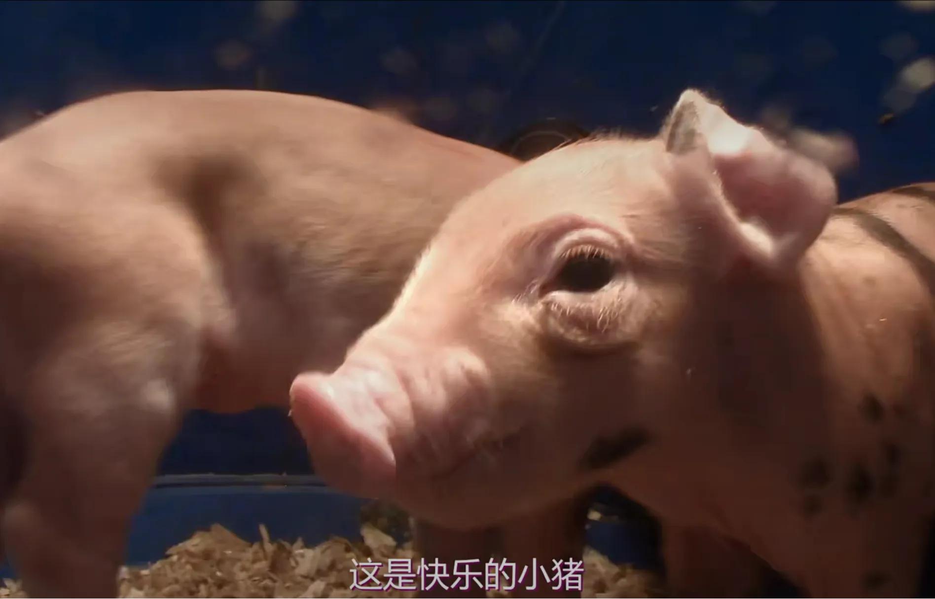 大数据时代，我们还有隐私可言吗