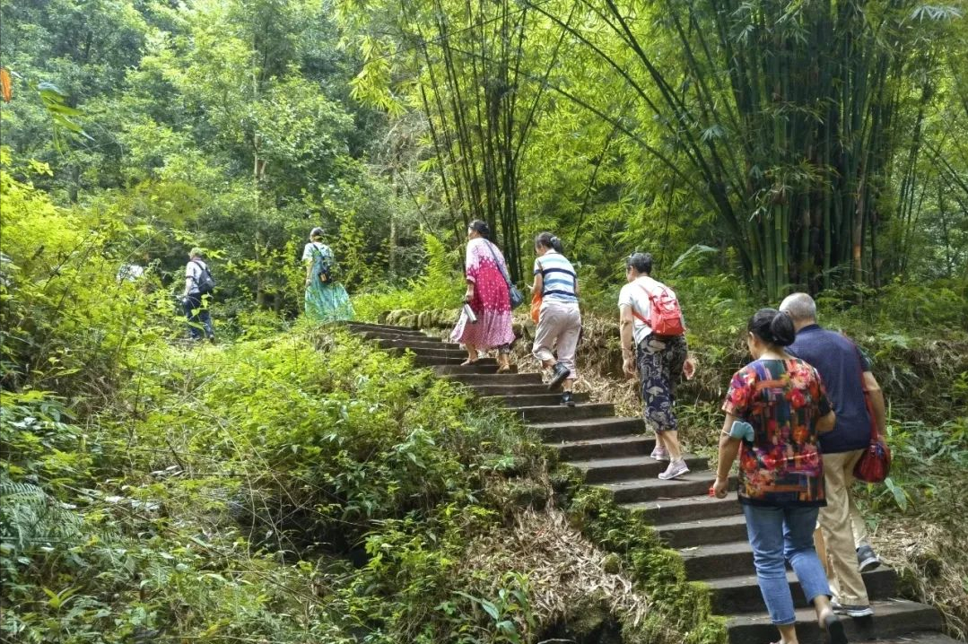 成都周边一日游(1.5h就到！去这个小众地爬山吸氧、看山间石刻佛像、吃生态美食)