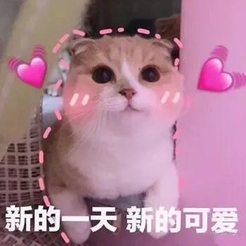 笑到肚子痛的 短笑话