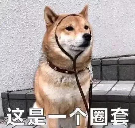 沙雕表情包