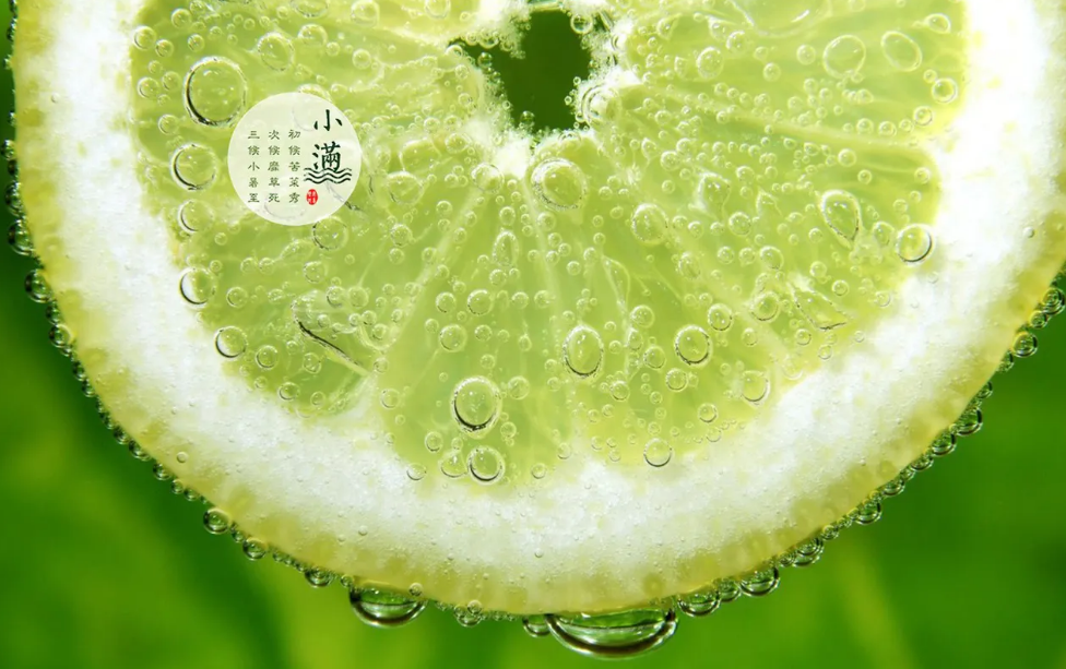 人生最好是小满，十首古诗词，感受惬意初夏时光，品读好时光