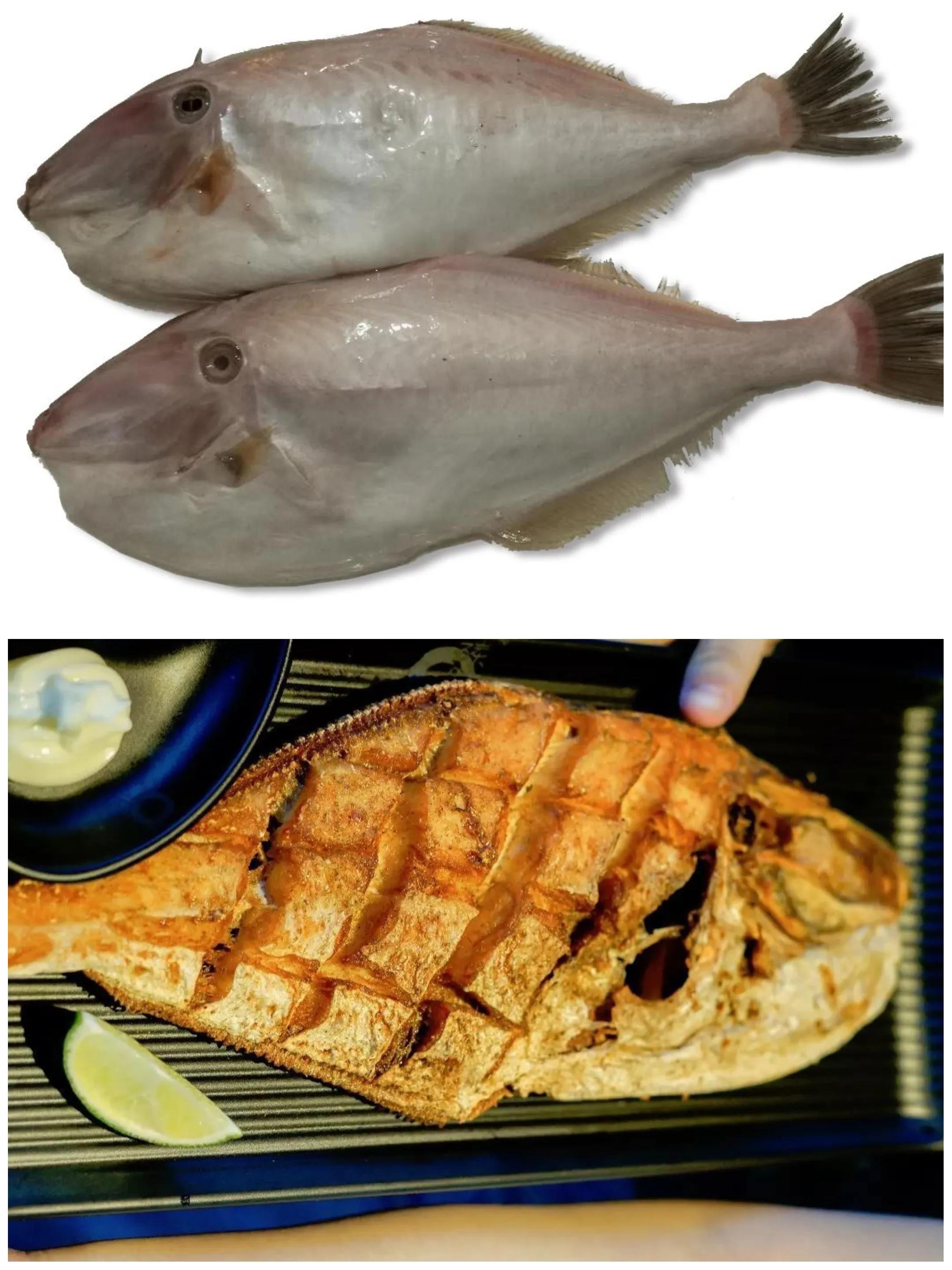 常吃的海鱼大全!请收藏,旅游能用上