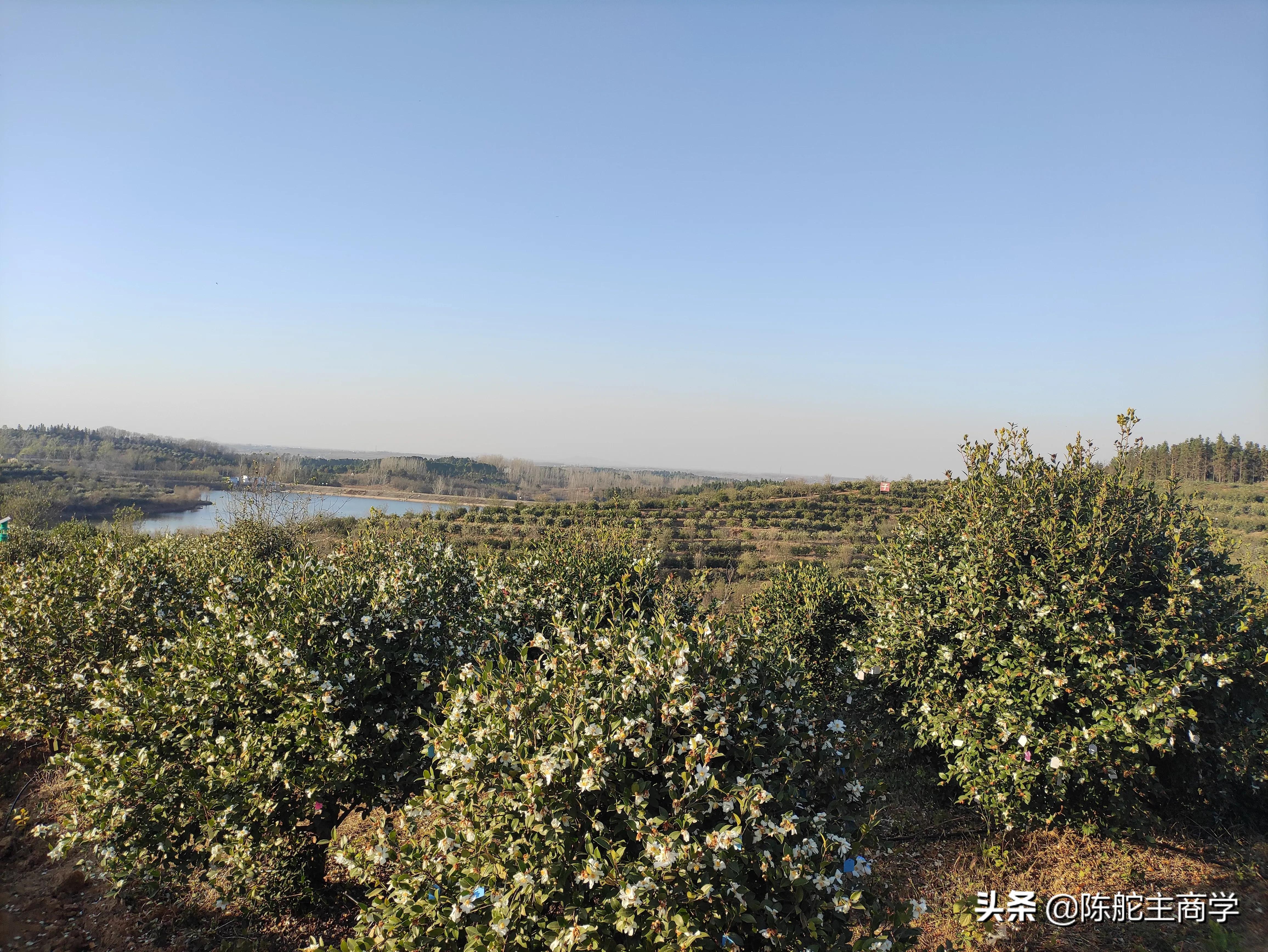 有生意做的老板们，如何通过自媒体给产品引流，日赚500块钱？