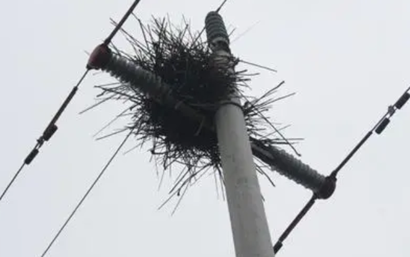 如何看鐵塔識別電力線-架空電力線科普