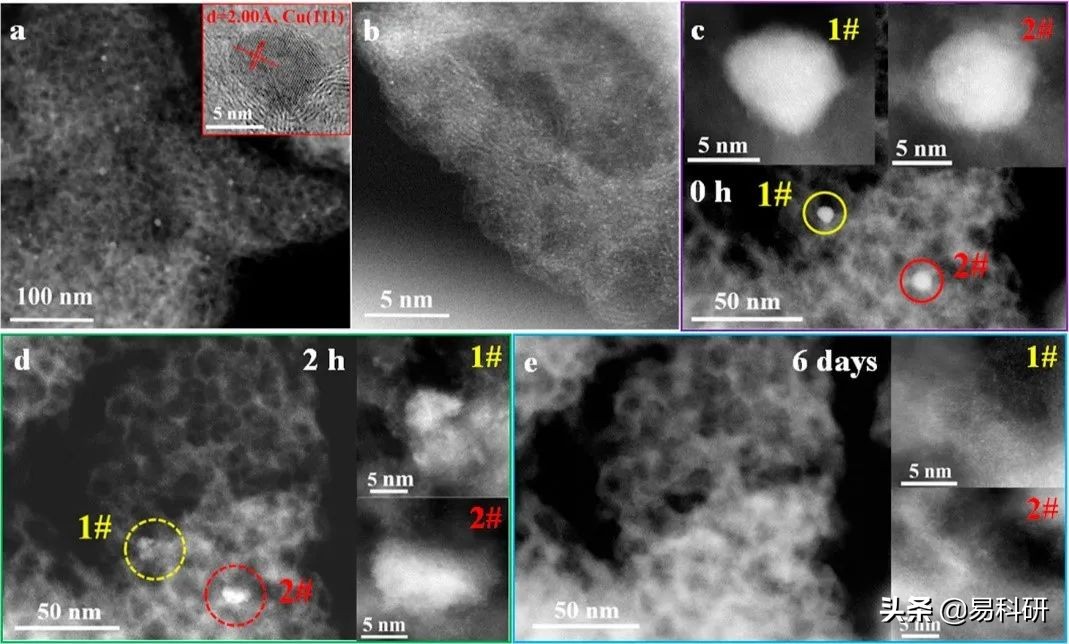 JACS | 大化所王爱琴，刘伟，杨小峰&厦门大学李剑锋团队研究进展