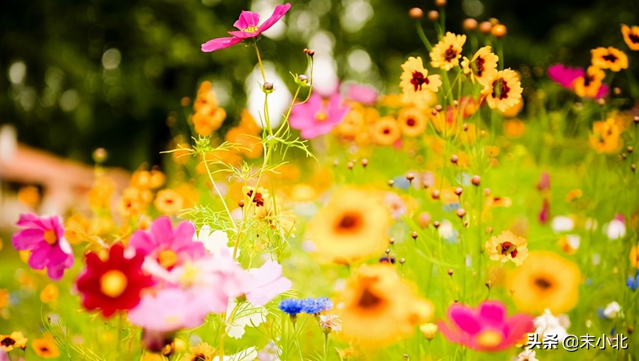 当相爱过的人不再联系时，聪明的女人通常会这样做，希望你也可以