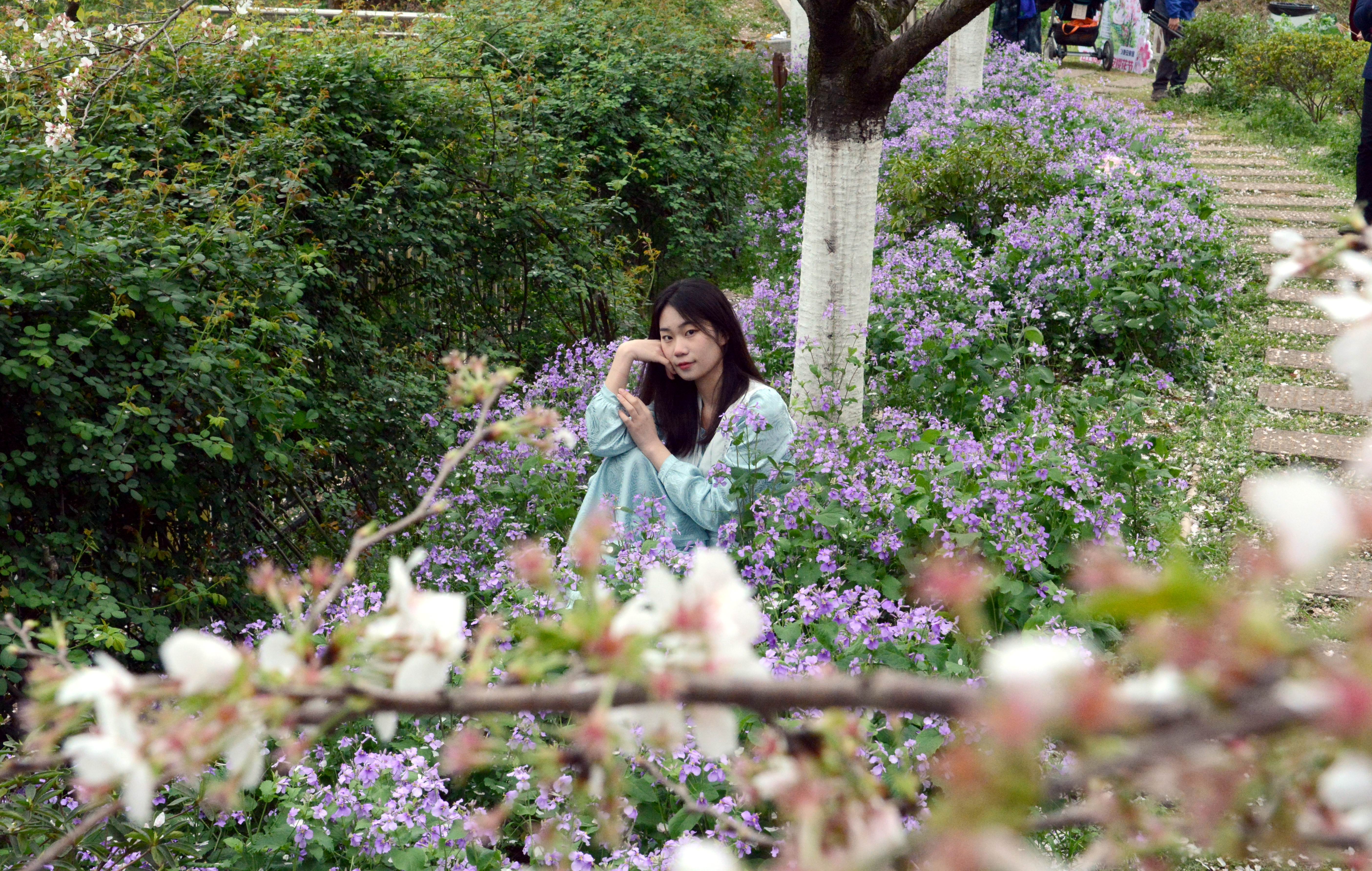 “樱花灿漫是此时”：长沙岳麓区晚安家居文化园启动樱花节