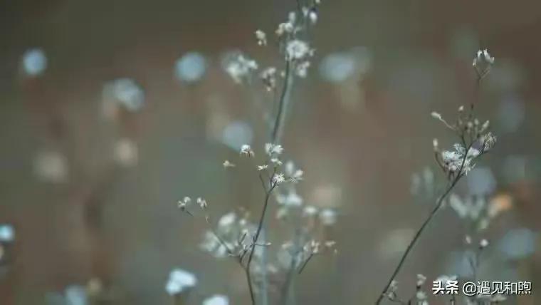 烟如柳诗词三十首（最新2021年12月）