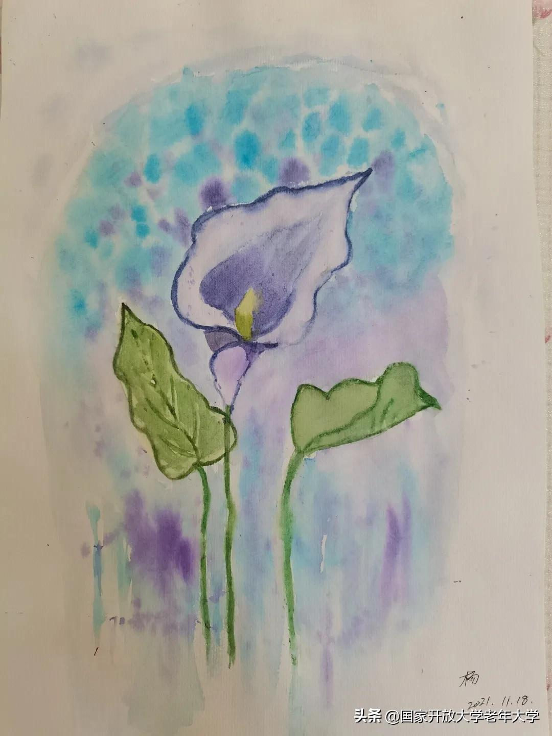 在校园·良作 | 水彩让我们的青春重新绽放——水彩画初级班学员作品