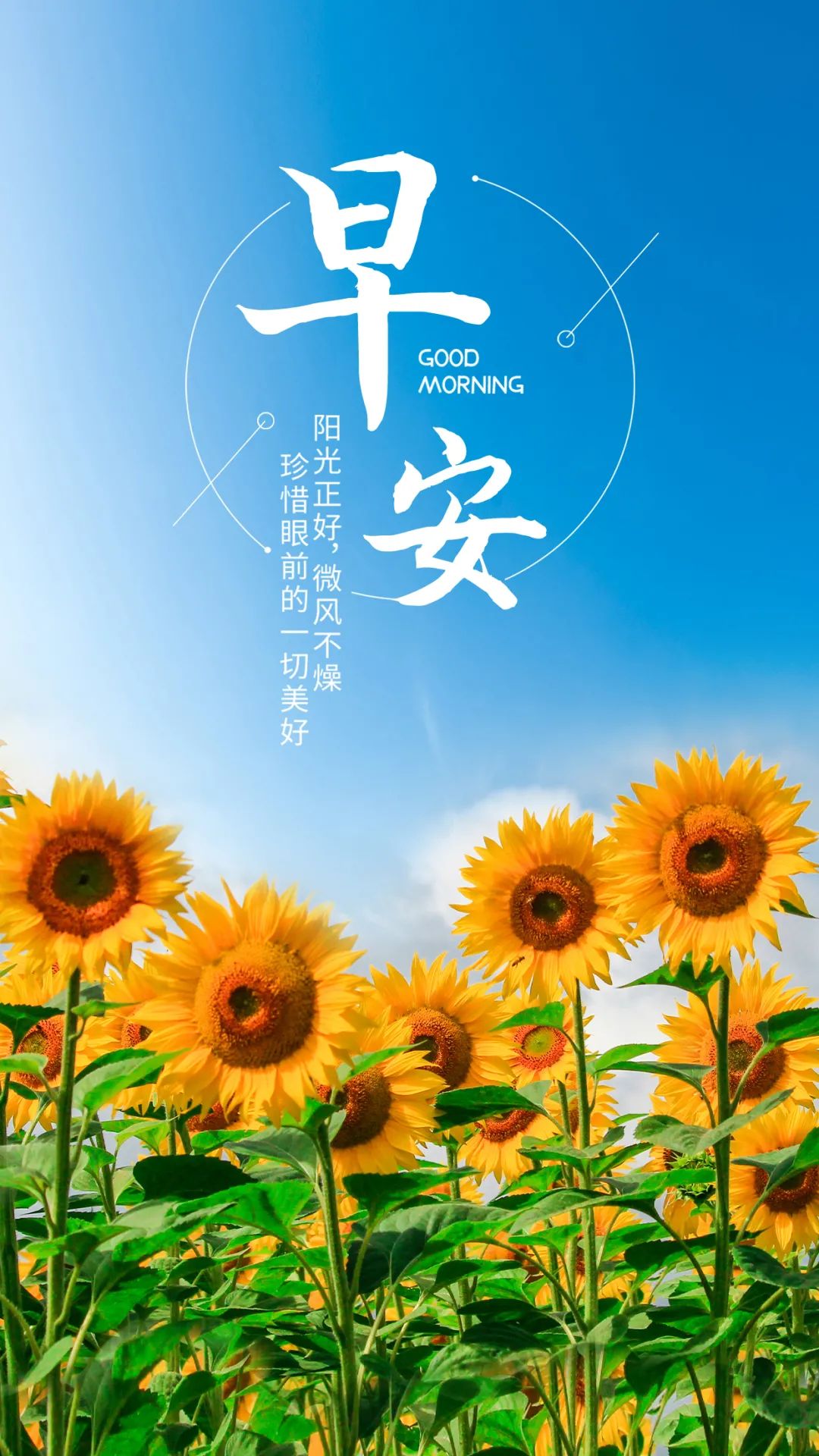 06.17」早安心语,正能量走心语录句子,励志文案说说图片