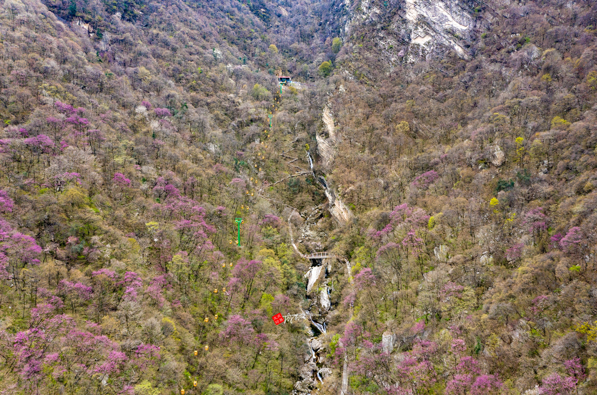 太平国家森林公园（推荐旅游景点人间最美四月天）