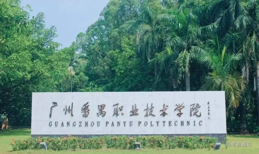 考上这些大学就像被流放？（学思行河北张家口高考志愿填报美术）