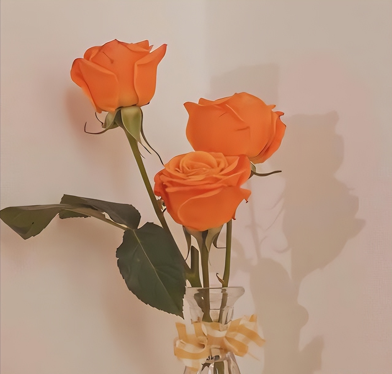 其实，男人越是深爱你，越不会“对你好”