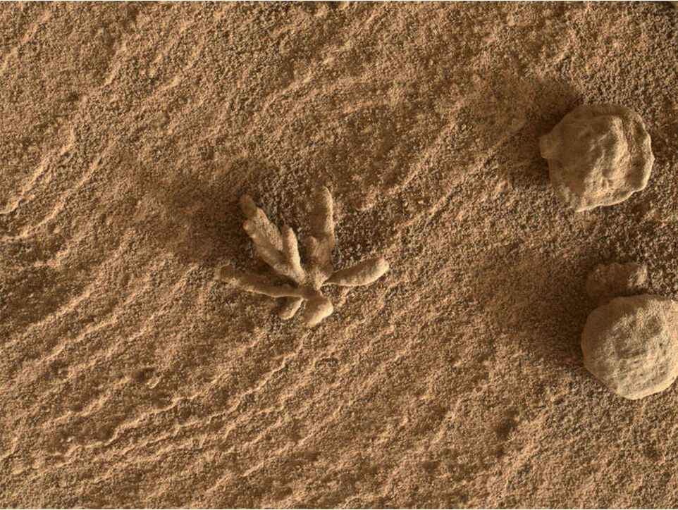 在火星盖尔火山口内，好奇号拍到多张“异物”照片，究竟是什么？