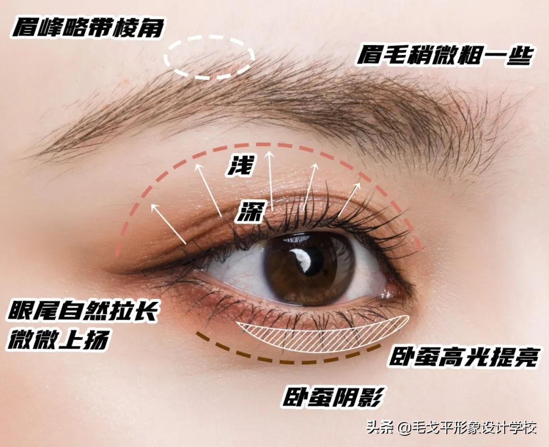 眼妆怎么画初学者，新手日常眼妆的画法步骤教程