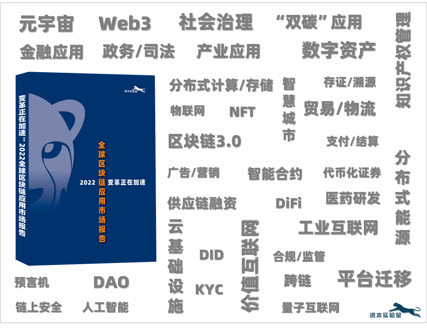 超越炒作：区块链应用市场生命周期分析