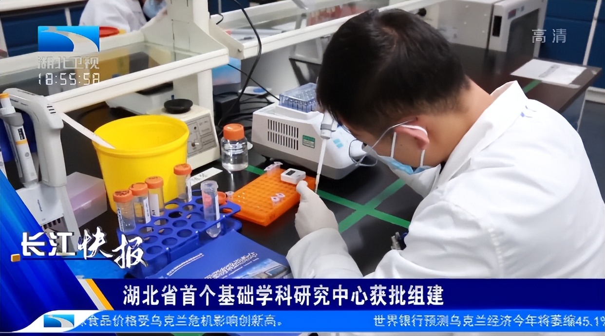 登上Nature、刷新世界纪录、实现中国第一！这8项重磅成果，都来自湖北！